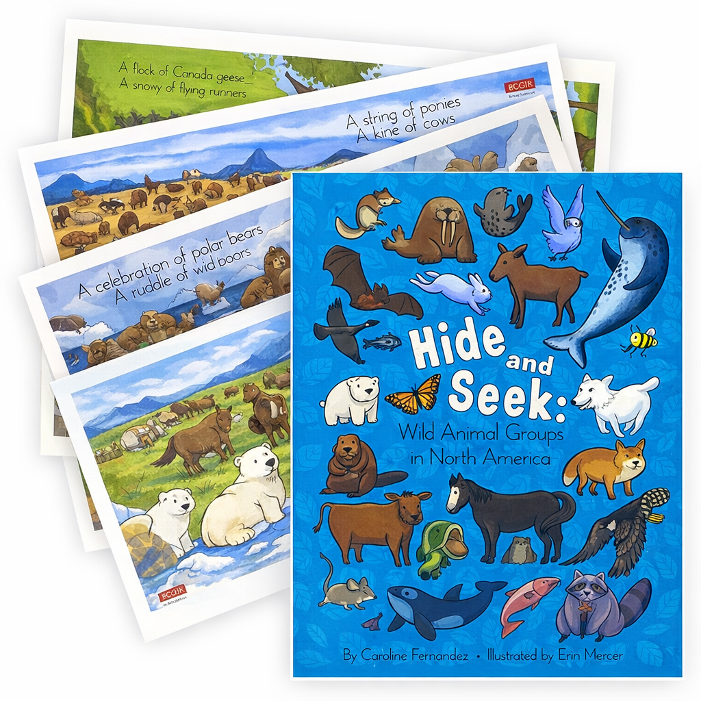 Hide and Seek + 3 Posters