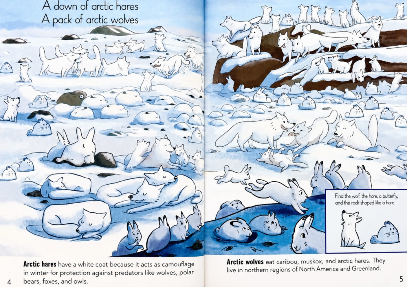Hide and Seek + Moose Puzzle 48 pieces