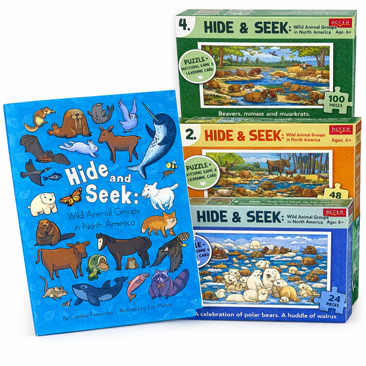 Hide and Seek + Four Puzzles